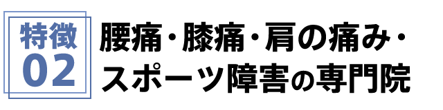 特徴2 腰痛・膝痛・肩の痛み・スポーツ障害の専門院